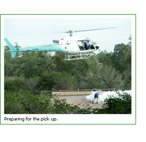 Airlift preserves eco-sensitive Ellis Brook Valley