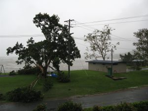 The ongoing cost of Debbie