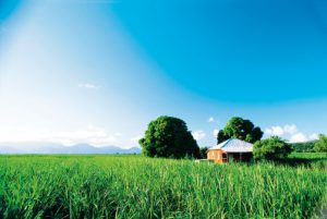 Ingham catalyst project sets ‘smart infrastructure’ benchmark for Queensland