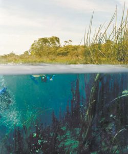 Mount Gambier Marketplace – Investing in the future