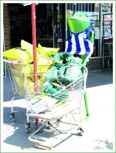 Balranald calendar assists endangered frog and promotes the Shire
