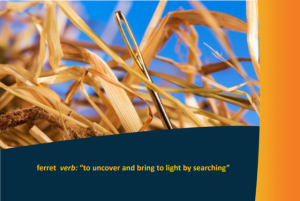 Search-discover solution
