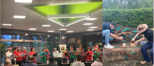 Uplate in Hornsby Library