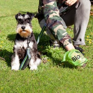 New dog bags aim to cut down waste