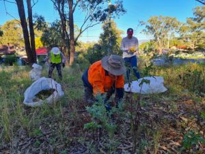 Volunteers needed for reserve work