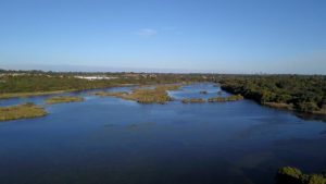 Joonadalup stars in Waterwise Awards