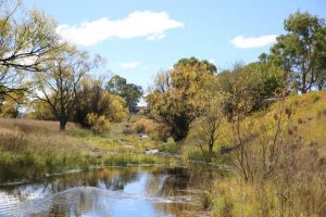 Ten-year approach to better management