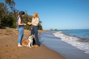 Domestic animal strategy