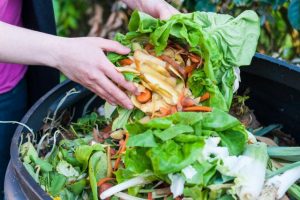 Organics service for Whitehorse