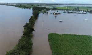 Clarence demands flood study inclusion