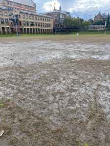 Tough time for turf industry