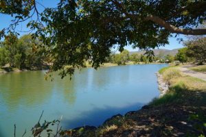Freshwater wetlands set the standards