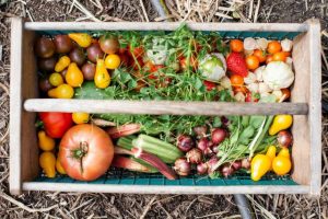 Sprouting interest in plants