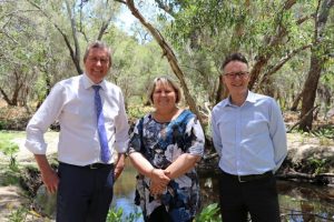 Bush regeneration on target