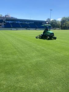 What are wetting agents?