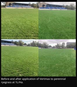 Using turf pigments and grass paint to colour turf and lawns
