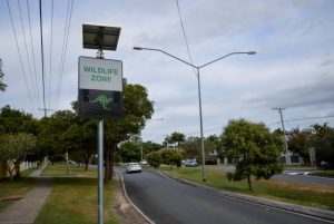 Driving down wildlife toll