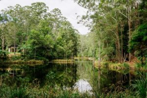 Mapping ecosystems