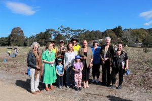 Newcastle digs deep for trees