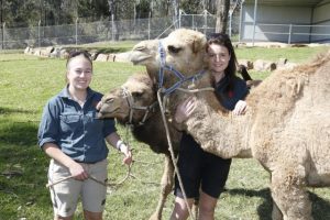 Wagga Zoo adds more animals