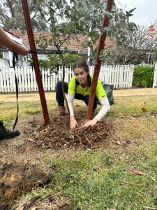 Greenscaping the streetscape