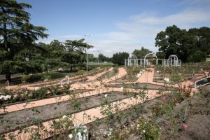 New name for garden honours late Queen