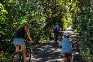 Rail trail a major Tourism success