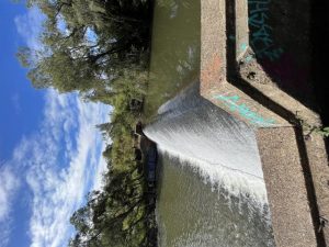 Weir deconstruction underway