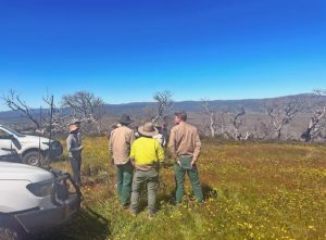 Weed detection a learning moment