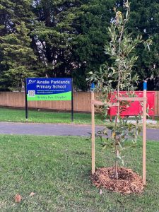 Planting a future for schools