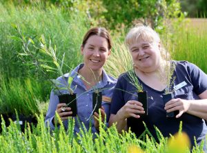 Building backyard biodiversity