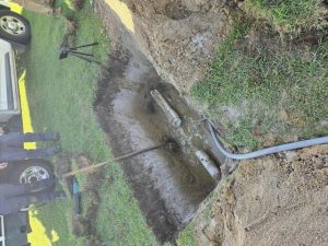 Turf transformation and water savings