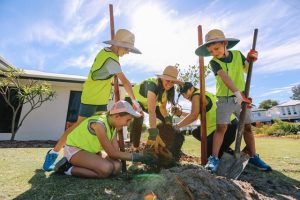 Enhancing green spaces – Stirling idea