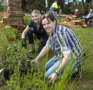 Foreshore rehabilitation completed