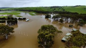 Flood knows no boundaries