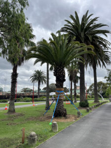 A date in St Leonards Park