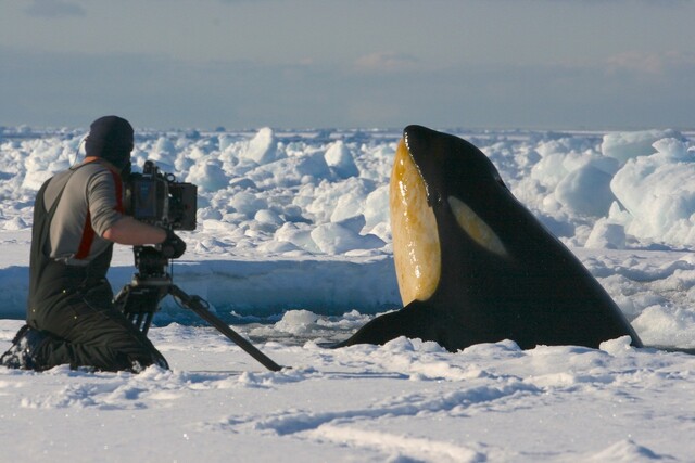 Sir David Attenborough’s filmmaker to share insights at LEAF