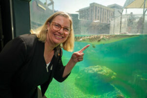 Celebrating crocodiles the world over