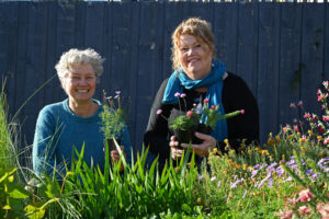 Nature strip garden surge in Hobart