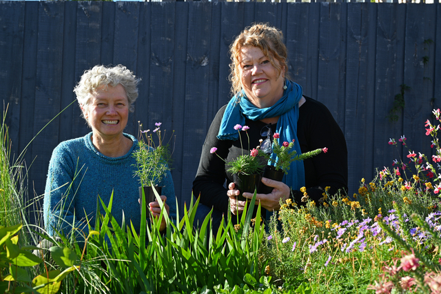 Nature strip garden surge in Hobart