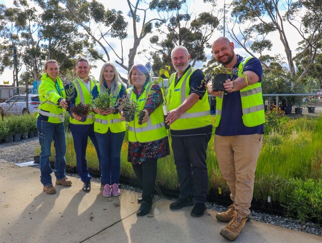 Cultivating a greener future