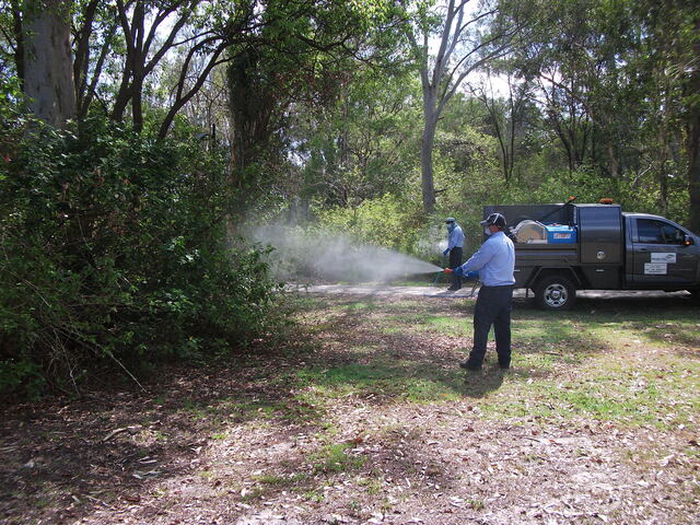 Vector Control tackle mosquitos