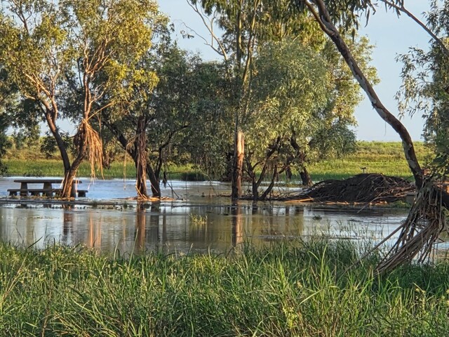 Lockyer send flood expert north