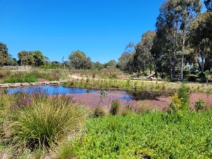 Special transformative project for Bayside